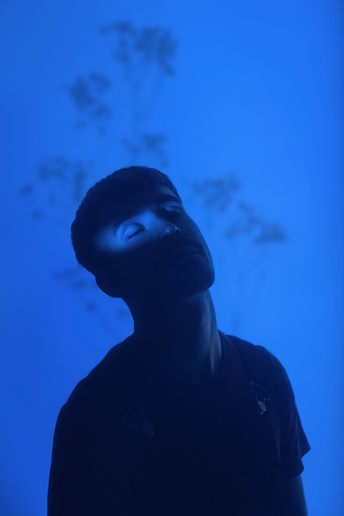 Clément - Gypsophile bleu